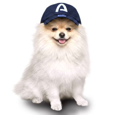 Arc Dog mascot, a white pomeranian wearing a navy Arc cap